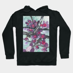 Barberry Shrub Spring Buds with Background Hoodie